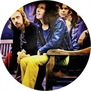 Graham Field - Musician