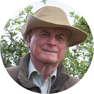 Graham Mercer - Author