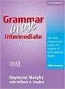 Grammar in Use Intermediate - Book by Raymond Murphy
