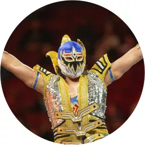 Gran Metalik