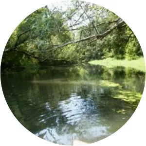 Grand Calumet River - River in the United States of America