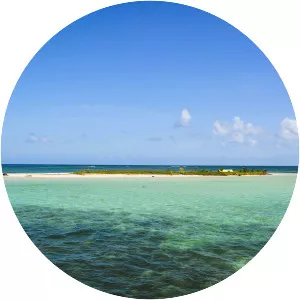 Grand Cul-de-sac marin - 