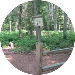 Grand Island Township