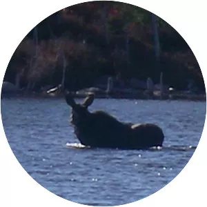 Grand Lake Matagamon