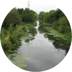 Grand Union Canal Slough Arm - 
