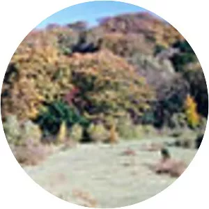 Grangelands and Pulpit Hill - 