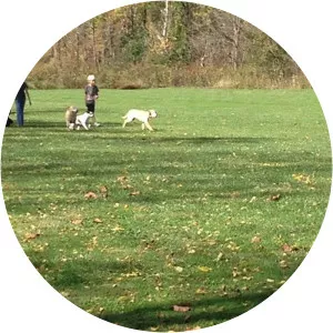 Granville Dog Park