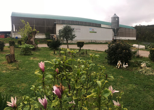 Granxa Do Loureiro - 