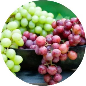 Grapes - Fruit