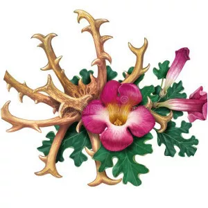 Grapple plant