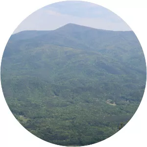 Grassy Mountain - Summit in Georgia