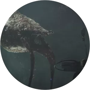 Gravemind - Fictional character