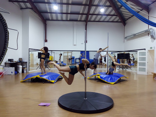 Gravitty - Dance school in Lugo, Spain