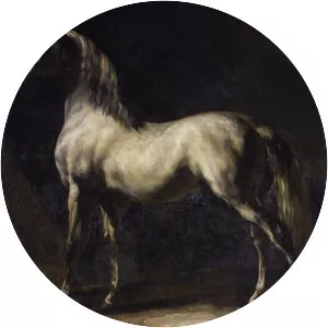 Gray Horse - Artwork