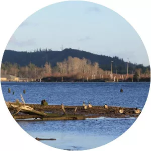 Grays Harbor County - County in Washington