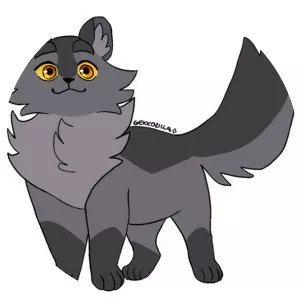 Graystripe photograph