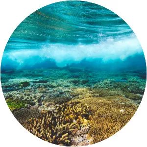 Great Barrier Reef - 2012 ‧ Documentary