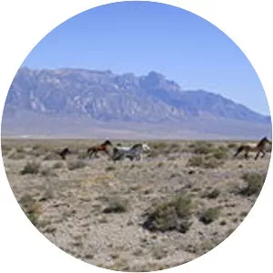 Great Basin - Endorheic in Nevada