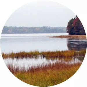 Great Bay National Wildlife Refuge - Wildlife refuge in New Hampshire