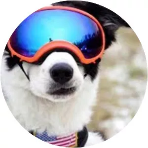 Great Big Planes - Musical group