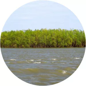 Great Brăila Island (Insula Mare a Brăilei)