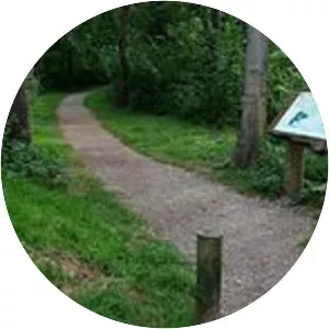 Great Breach and Copley Woods - 