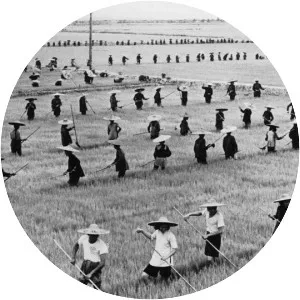 Great Chinese Famine - 