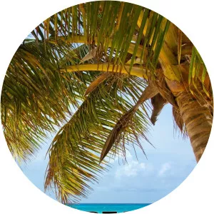 Great Escapes - TV program