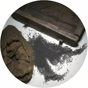 Great Gold Robbery - 