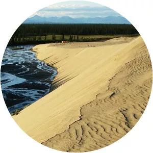 Great Kobuk Sand Dunes - 
