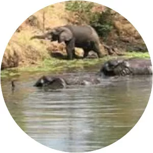 Great Limpopo Transfrontier Park - 