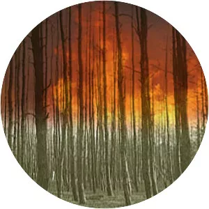 Great Michigan Fire - 