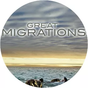 Great Migrations