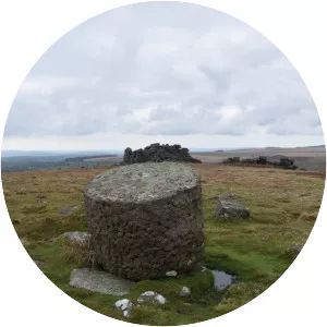 Great Trowlesworthy Tor - 