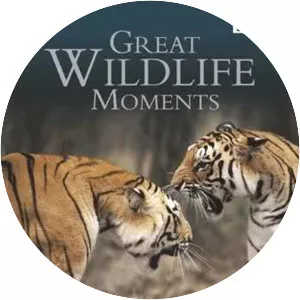 Great Wildlife Moments