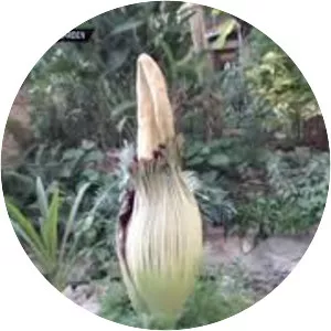 Greater Des Moines Botanical Garden - 