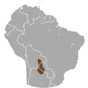 Greater fairy armadillo