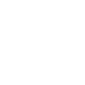 Greater Western Sydney Giants