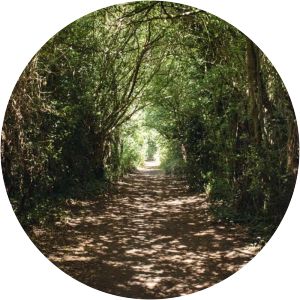 Green Chain photograph