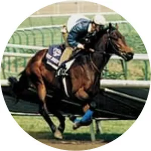 Green Desert - Horse