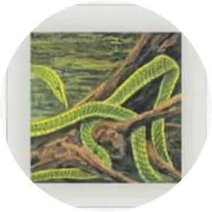 Green Graves - Album by Dominick Fernow