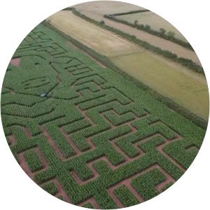 Green Lane Maize Maze