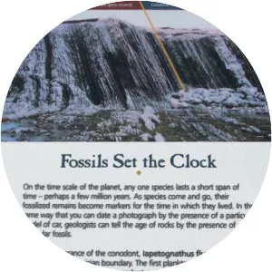 Green Point, Newfoundland and Labrador - 