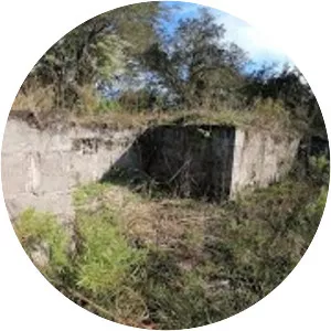 Green Swamp Wilderness Preserve