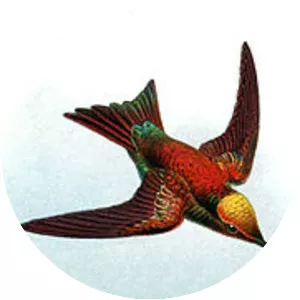 Green-tailed emerald