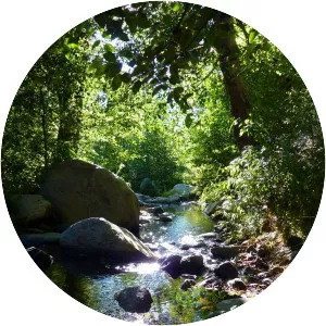 Green Valley Falls - 