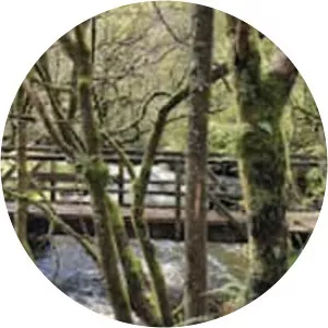 Greenock Cut Visitor Centre - 