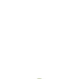 Greenpeace USA - Nonprofit organization