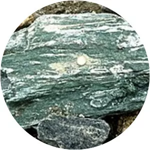 Greenschist
