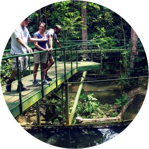 Greentique Wildlife Refuge